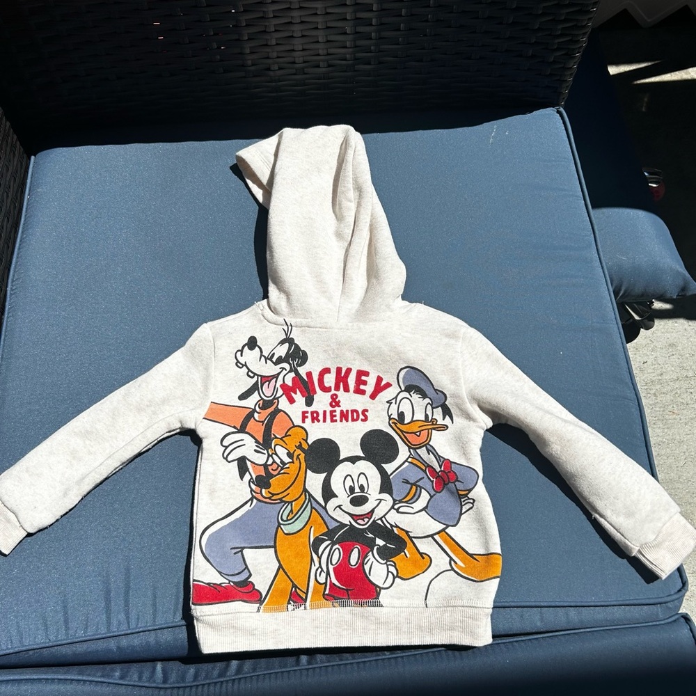 Disney Gray Sweatshirt with Iconic Characters